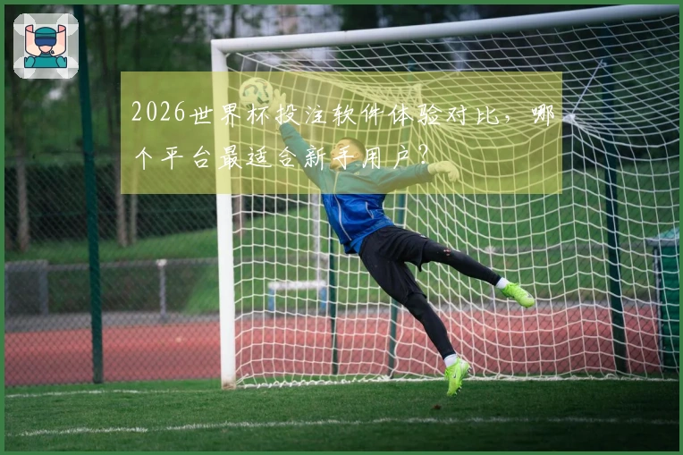 2026世界杯投注软件体验对比，哪个平台最适合新手用户？