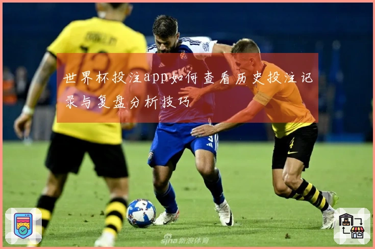 世界杯投注app如何查看历史投注记录与复盘分析技巧