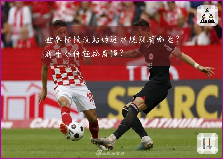 世界杯投注站的返水规则有哪些？新手如何轻松看懂？