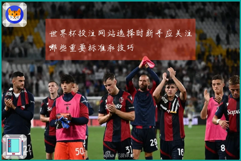 世界杯投注网站选择时新手应关注哪些重要标准和技巧