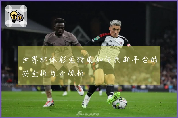 世界杯体彩竞猜前如何判断平台的安全性与合规性