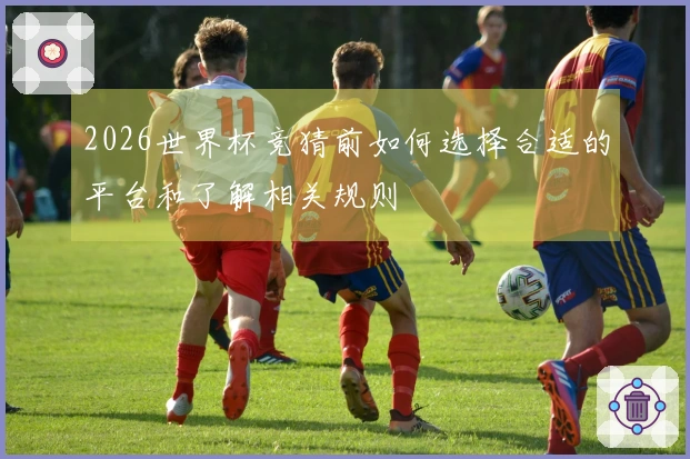 2026世界杯竞猜前如何选择合适的平台和了解相关规则