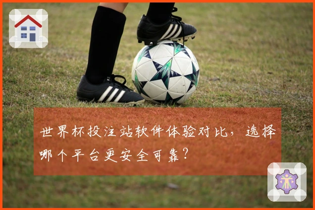 世界杯投注站软件体验对比，选择哪个平台更安全可靠？