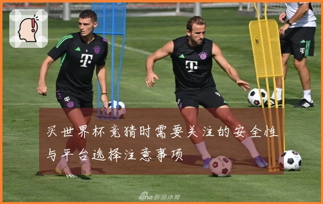 买世界杯竞猜时需要关注的安全性与平台选择注意事项
