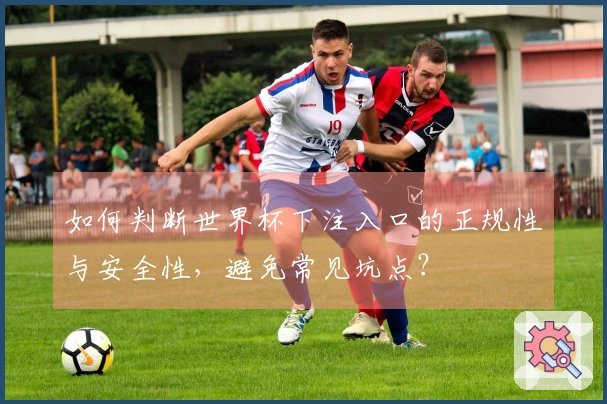 如何判断世界杯下注入口的正规性与安全性，避免常见坑点？