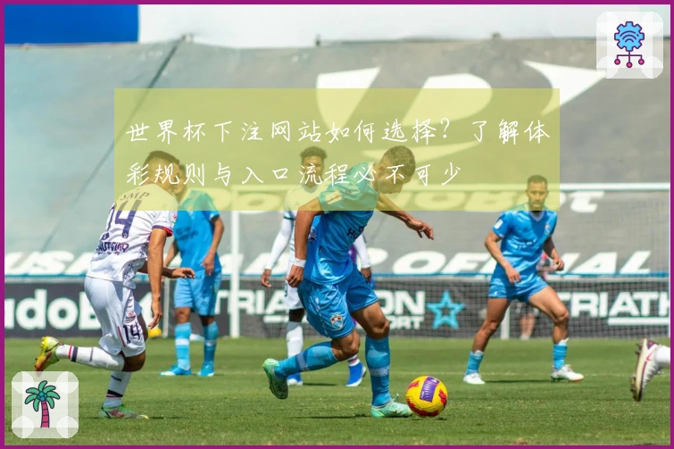 世界杯下注网站如何选择？了解体彩规则与入口流程必不可少