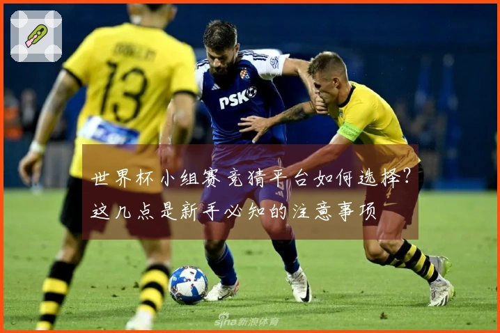世界杯小组赛竞猜平台如何选择?这几点是新手必知的注意事项
