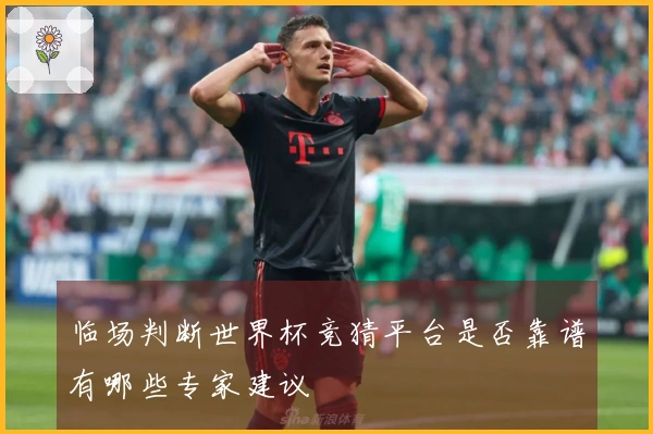 临场判断世界杯竞猜平台是否靠谱有哪些专家建议