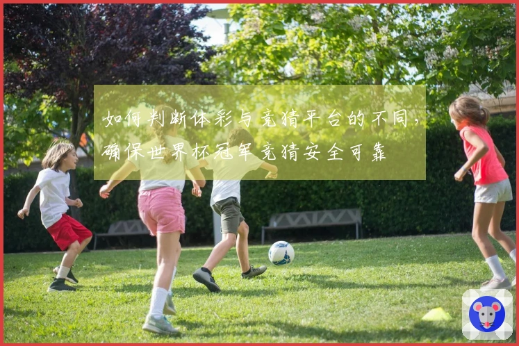 如何判断体彩与竞猜平台的不同，确保世界杯冠军竞猜安全可靠