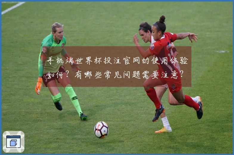 手机端世界杯投注官网的使用体验如何？有哪些常见问题需要注意？