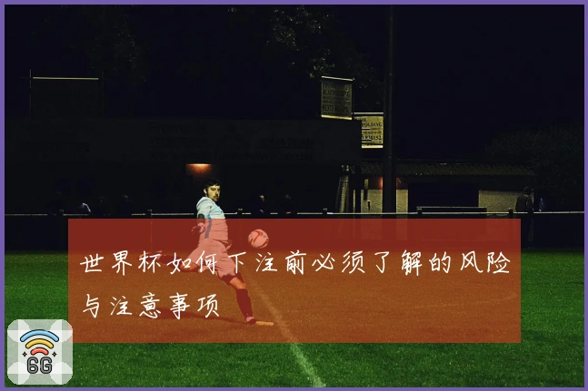 世界杯如何下注前必须了解的风险与注意事项