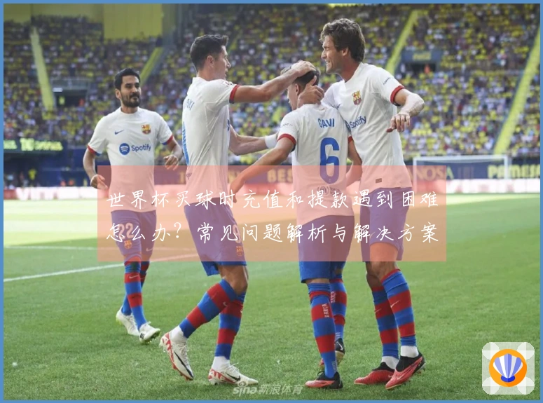 世界杯买球时充值和提款遇到困难怎么办？常见问题解析与解决方案