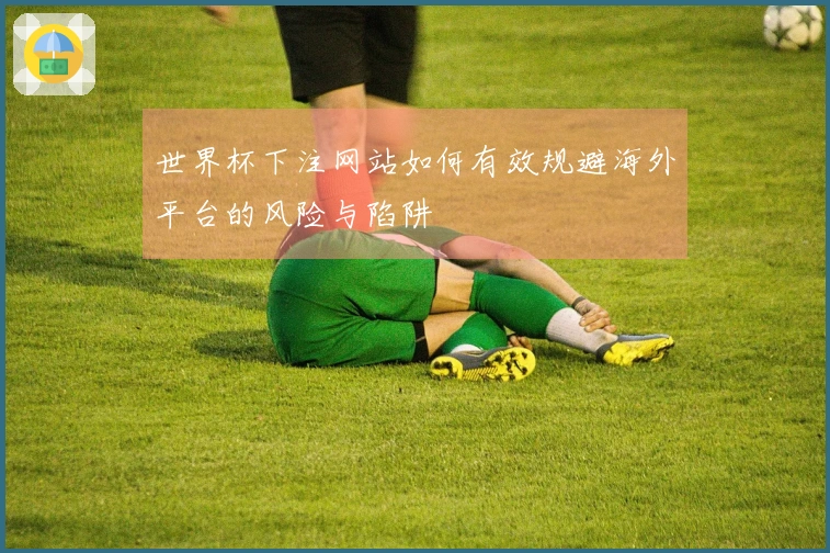 世界杯下注网站如何有效规避海外平台的风险与陷阱