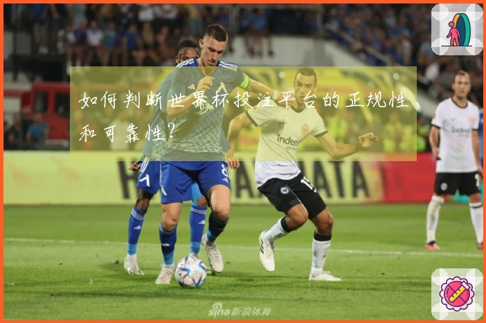 如何判断世界杯投注平台的正规性和可靠性？