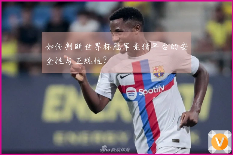 如何判断世界杯冠军竞猜平台的安全性与正规性？