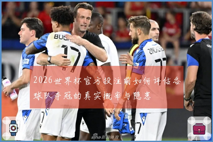 2026世界杯官方投注前如何评估各球队夺冠的真实概率与隐患