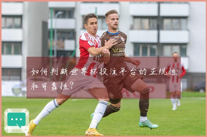 如何判断世界杯投注平台的正规性和可靠性？