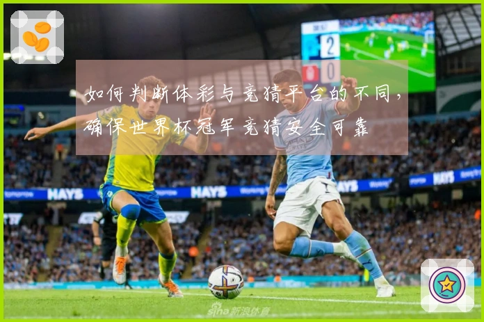 如何判断体彩与竞猜平台的不同，确保世界杯冠军竞猜安全可靠