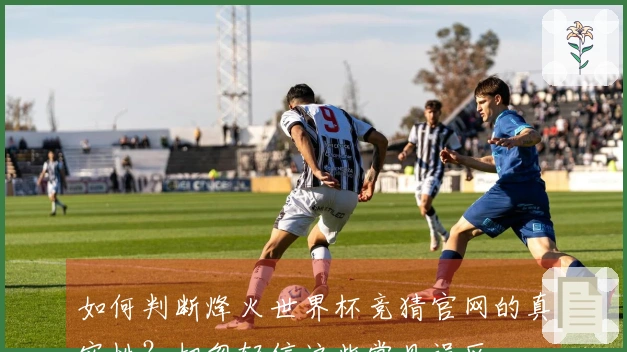 如何判断烽火世界杯竞猜官网的真实性？切勿轻信这些常见误区