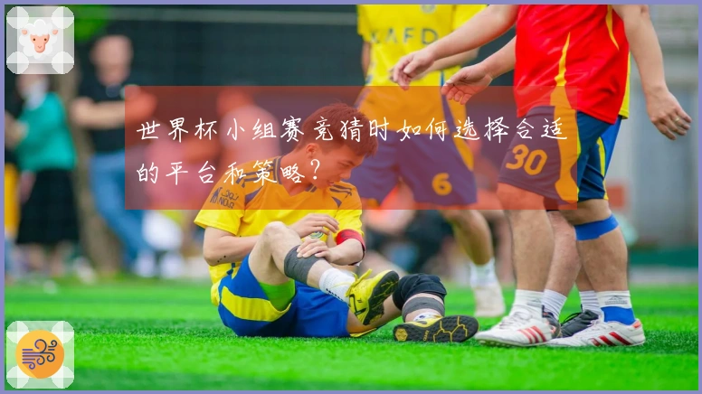 世界杯小组赛竞猜时如何选择合适的平台和策略？