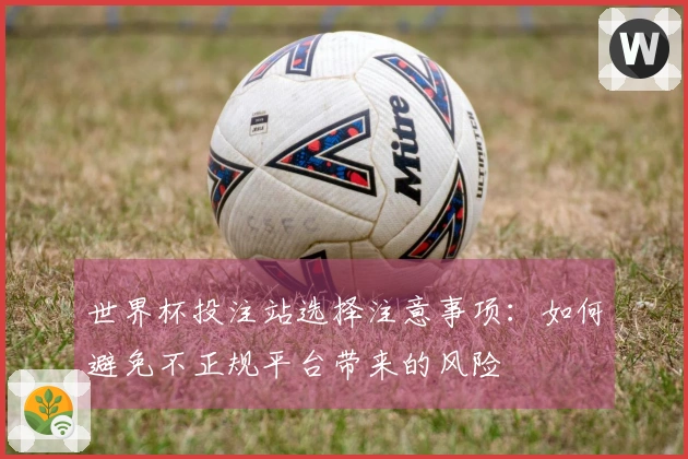 世界杯投注站选择注意事项:如何避免不正规平台带来的风险