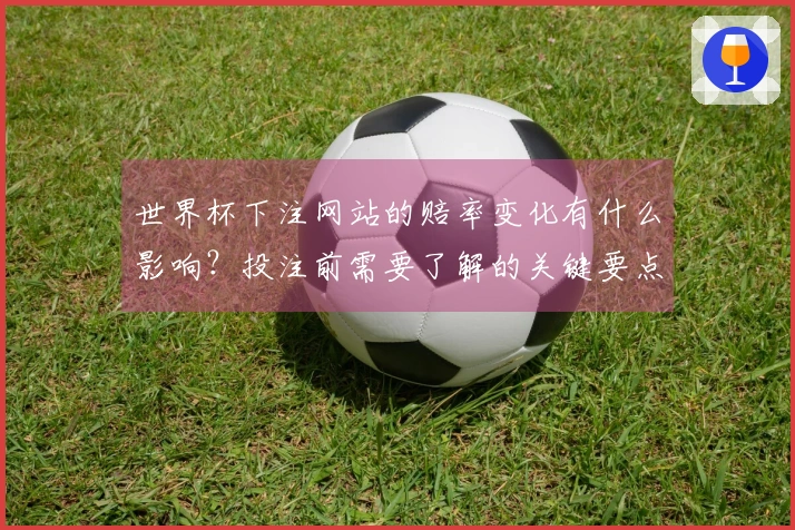 世界杯下注网站的赔率变化有什么影响？投注前需要了解的关键要点