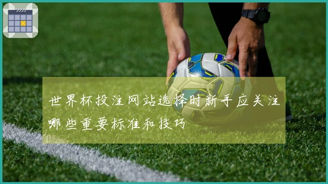 世界杯投注网站选择时新手应关注哪些重要标准和技巧