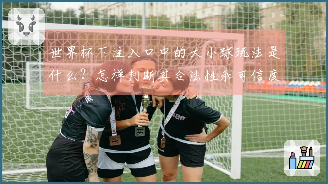世界杯下注入口中的大小球玩法是什么？怎样判断其合法性和可信度？