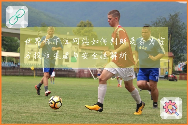 世界杯下注网站如何判断是否为官方投注渠道与安全性解析
