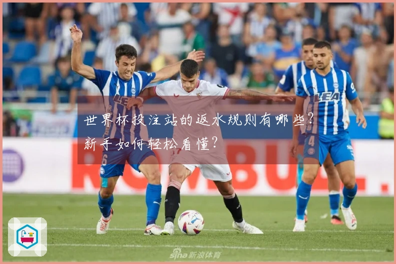 世界杯投注站的返水规则有哪些？新手如何轻松看懂？